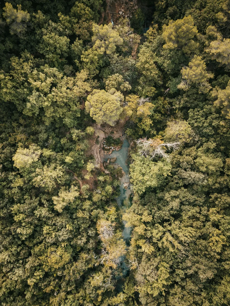 Forêt et cours d’eau vus du ciel